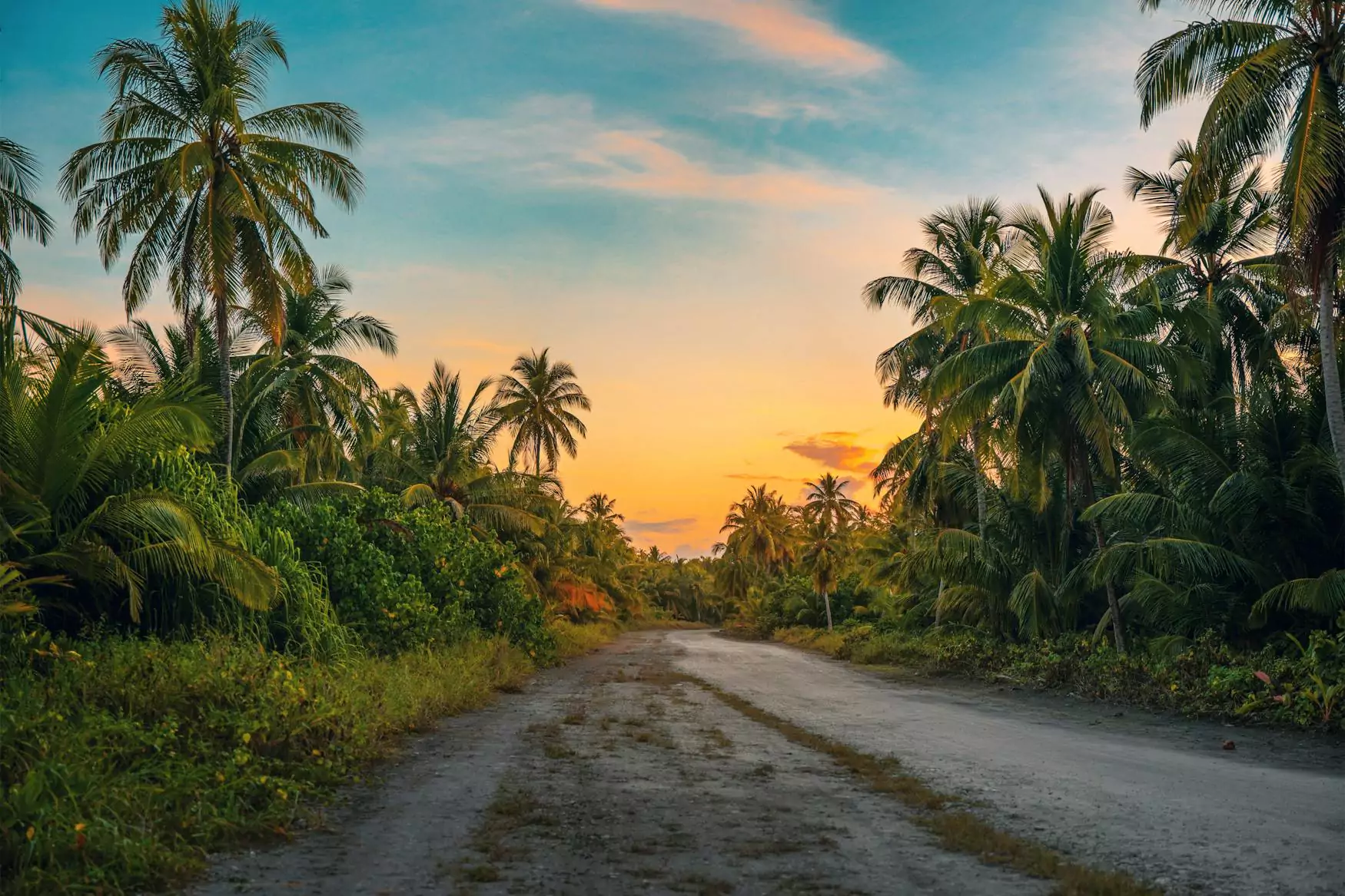 Palm Trees